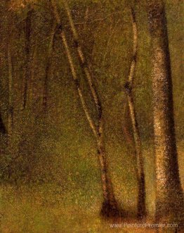 La forêt à Pontaubert La forêt à Pontaubert