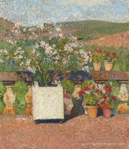 Roses et géraniums sur la terrasse de Marquayrol Roses et géraniums sur la terrasse de Marquayrol