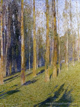Forêt Forêt