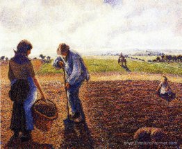 Paysans sur le terrain, Eragny Paysans sur le terrain, Eragny