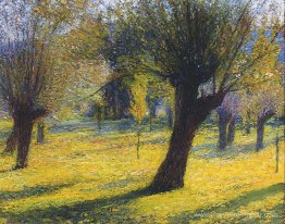 Saules dans le vert Saules dans le vert