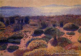 Plage de la Vignassa Plage de la Vignassa