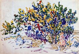 Enfants dans l'arbre Enfants dans l'arbre