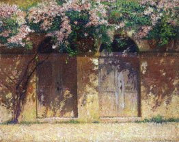 La glycine La glycine