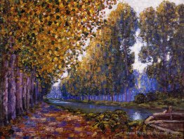 Le canal Moret, effet automne Le canal Moret, effet automne