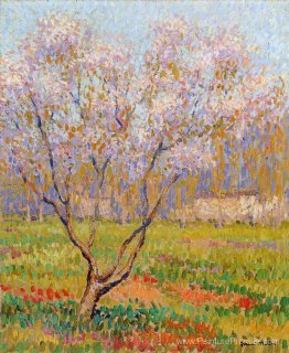 Arbres en fleurs Arbres en fleurs