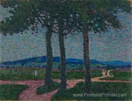 Weg nach Kynwasser (Riesengebirge) Weg nach Kynwasser (Riesengebirge)