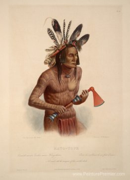 Mato-Tope, orné de l'insigne de ses actes guerriers, planche 14 Mato-Tope, orné de l'insigne de ses actes guerriers, planche 14