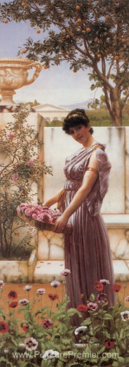 Les fleurs de Vénus Les fleurs de Vénus