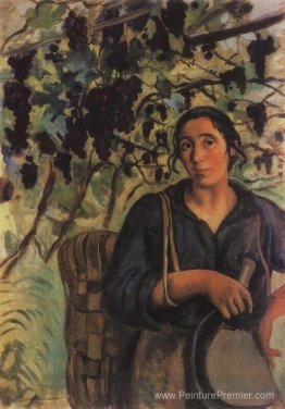 Paysanne italienne dans un vignoble Paysanne italienne dans un vignoble