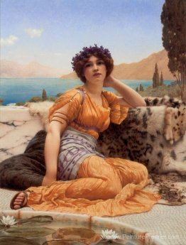 Avec des violettes couronnes et une robe de safran Hue Avec des violettes couronnes et une robe de safran Hue