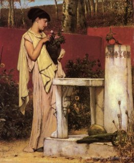 Les dernières roses Les dernières roses