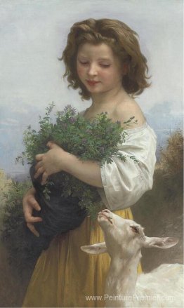Petit Esmeralda Petit Esmeralda