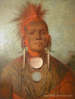 See-Non-Ty-A, un Iowa Medicine Man See-Non-Ty-A, un Iowa Medicine Man