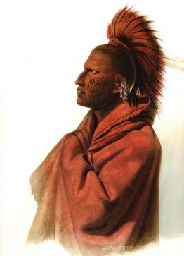 Massika-Saki Indian, Wakusasse-Musquake Indian, planche 3 du vol Massika-Saki Indian, Wakusasse-Musquake Indian, planche 3 du vol