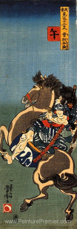 Cheval, Soga Goro sur un cheval d'élevage Cheval, Soga Goro sur un cheval d'élevage
