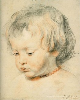 Nicolas Rubens Nicolas Rubens