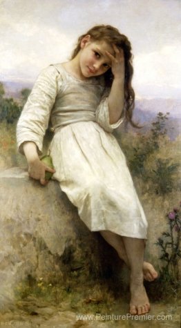 Le petit marauder Le petit marauder