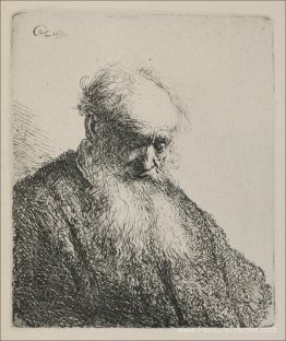 Un vieil homme avec une barbe Un vieil homme avec une barbe