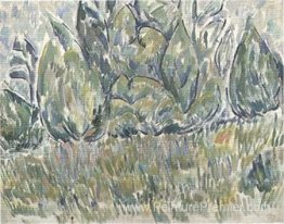 Paysage Paysage