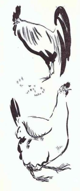 La bite et la poule La bite et la poule