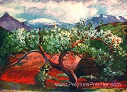 De Borgarfjörður, Glacier Eiríksjökull, West Island De Borgarfjörður, Glacier Eiríksjökull, West Island