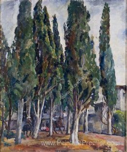 Crimée. Cyprès. Crimée. Cyprès.