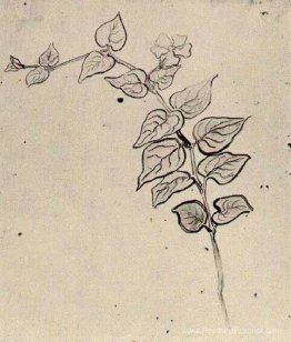 Branche avec des feuilles Branche avec des feuilles