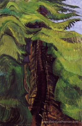 Sanctuaire de cèdre Sanctuaire de cèdre