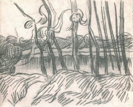 Une rangée d'arbres nus Une rangée d'arbres nus