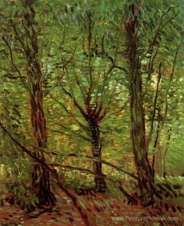 Arbres et sous-bois Arbres et sous-bois