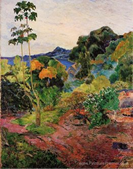Paysage martinique Paysage martinique