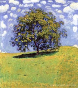 L'arbre de noix L'arbre de noix