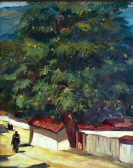 Rue à Karlovo Rue à Karlovo