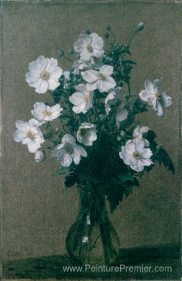 Anémones japonaises Anémones japonaises