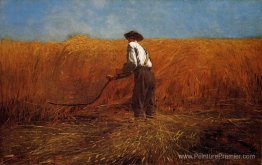 Le vétéran dans un nouveau champ Le vétéran dans un nouveau champ