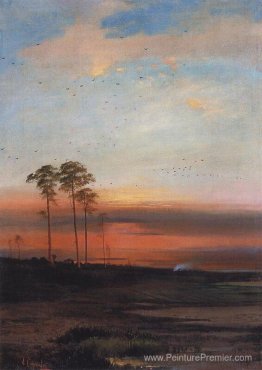 Coucher de soleil Coucher de soleil