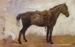 Mishka à cheval Mishka à cheval