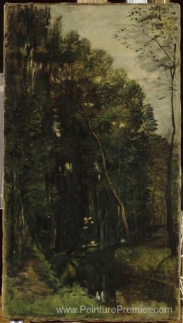 Les bois et le ruisseau Les bois et le ruisseau