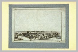 Troupeau de moutons dans un pâturage Troupeau de moutons dans un pâturage