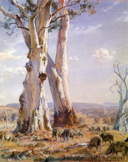 Gommes blanches Gommes blanches