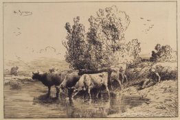 Vaches Vaches