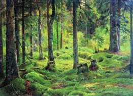 Bois morts Bois morts