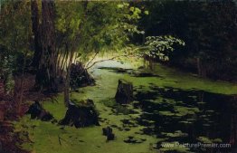 Marge d'eau (un étang) Marge d'eau (un étang)