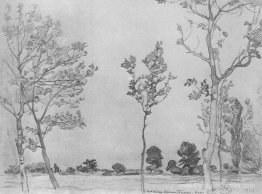 Arbres à Baran-Eli Arbres à Baran-Eli