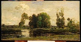 L'étang L'étang