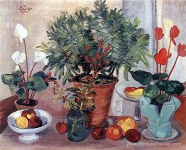 Nature morte (cyclamen) Nature morte (cyclamen)