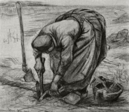 Praise, plantation de betteraves Praise, plantation de betteraves