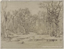 La forêt en hiver La forêt en hiver