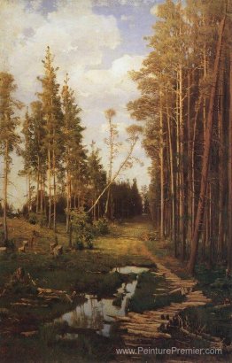 Clat dans une forêt de pin Clat dans une forêt de pin